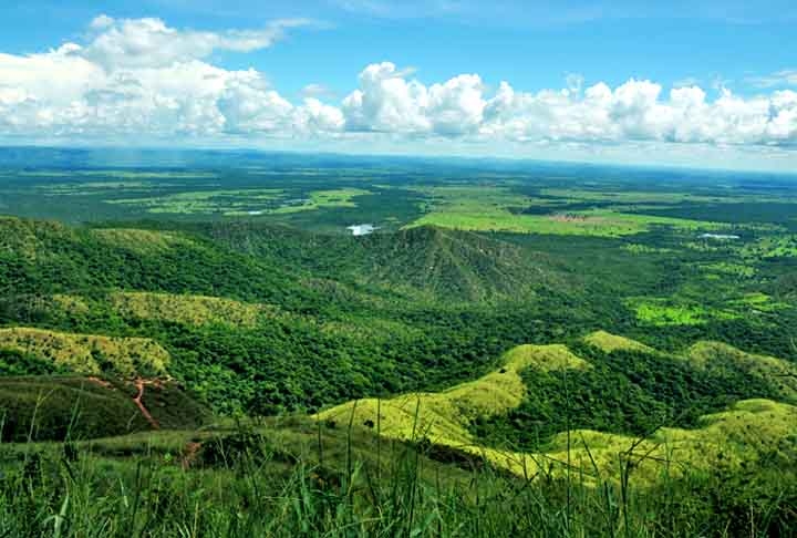  Sua rica flora e sua fauna nativa, em paisagens deslumbrantes, revelam que as belezas naturais do Brasil vão além das praias. Reprodução: Flipar