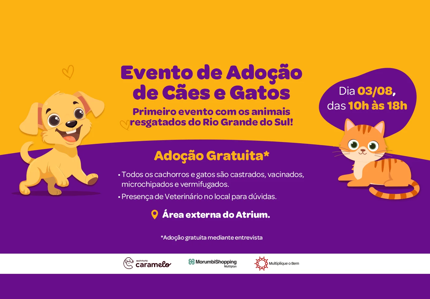 Evento de adoção traz cães e gatos que foram resgatados das enchentes no Rio Grande do Sul Divulgação