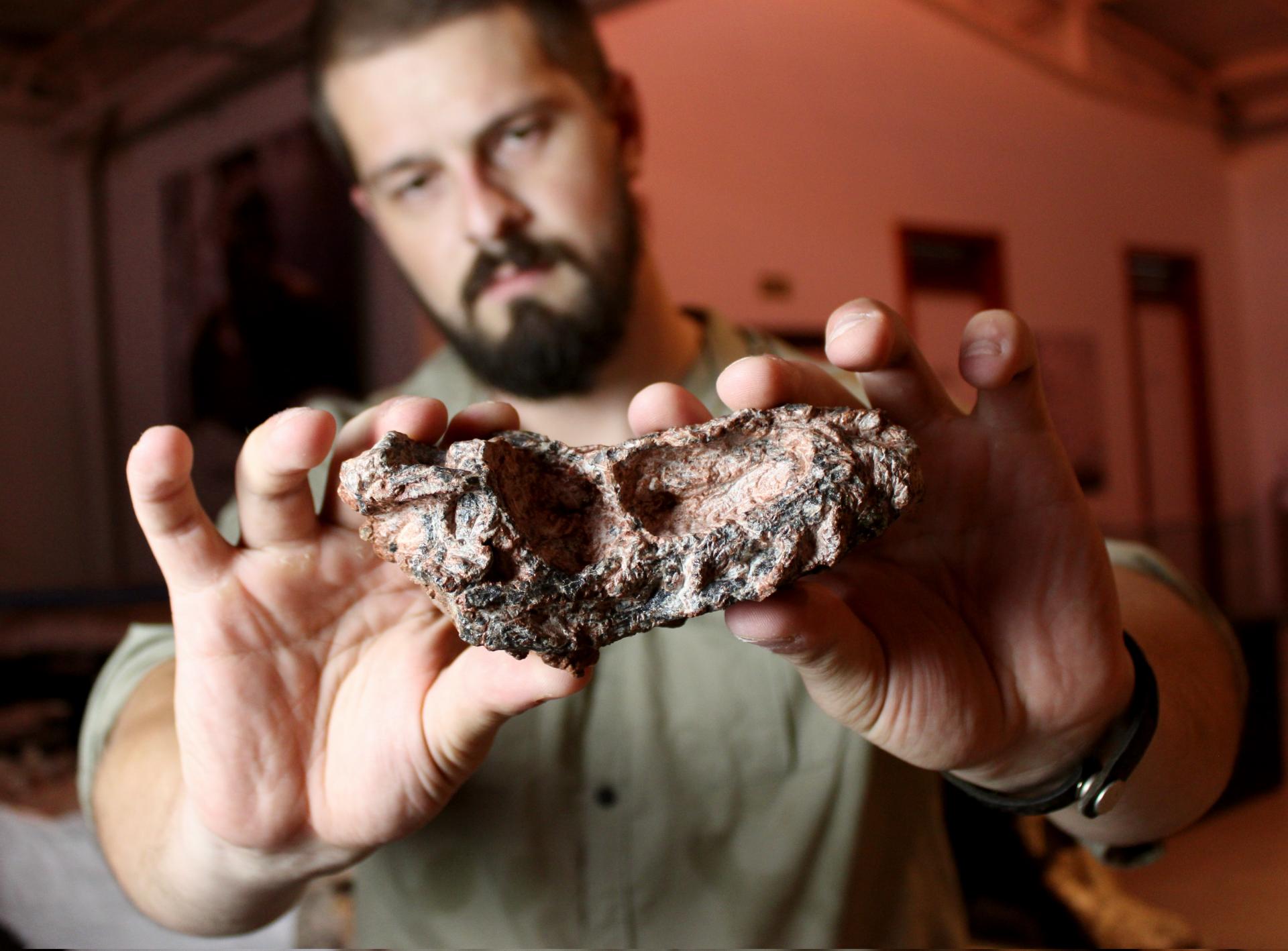 Fóssil de réptil encontrado no Brasil é mais antigo que dinossauros Foto: Janaína Brand Dillman