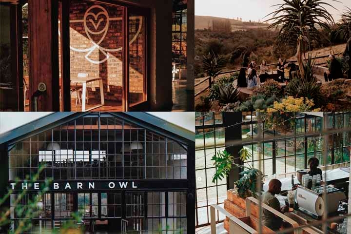 O Café Barn Owl, na Flórida, tem como objetivo promover aos indivíduos dedicados ao aprendizado. Quer seja um novato em busca de explorar o mundo do café ou um barista experiente em busca de aprimorar suas habilidades. Os encontros mensais são projetados para atender a todos os níveis de especialização. Reprodução: Flipar