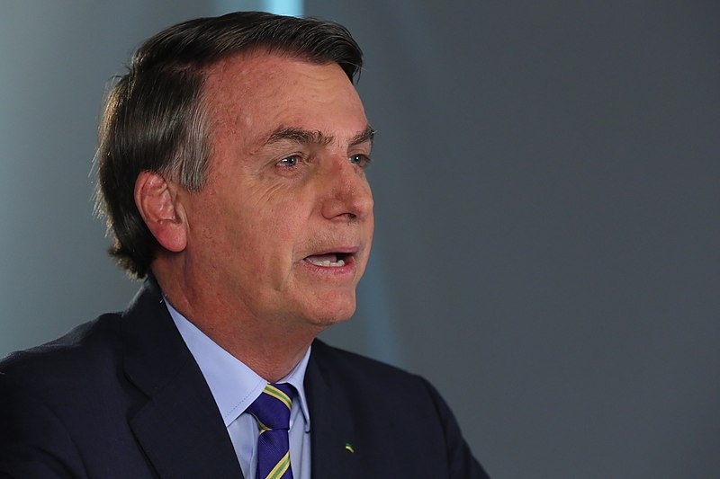 Um dos pets de Bolsonaro que ficou conhecido foi Nestor. Ele apareceu no colo do ex-presidente em setembro de 2022, quando foi sancionada uma lei com pena maior para maus-tratos contra cães e gatos.