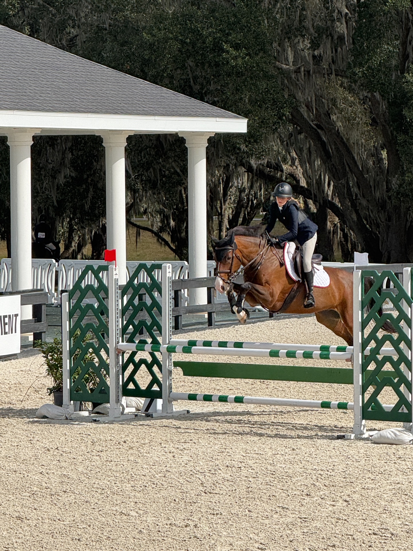 Fotos do álbum compartilhado por Gisele Bündchen. Foto: Instagram/@gisele