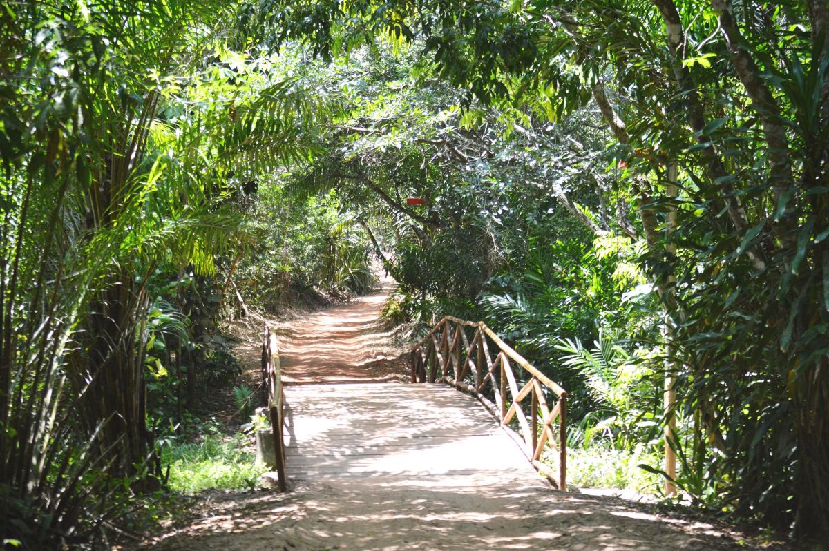 Reserva de Sarapiranga - Mata de São João - BA. Foto: Divulgação - Mtur