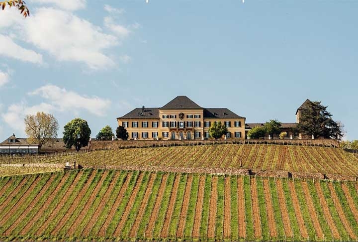 8ª - Schloss Johannisberg é um castelo e vinícola na vila de Johannisberg, no distrito de Rheingau, na Alemanha. A produção de vinho ocorre no local há mais de 1.200 anos. O sugerido é começar com uma visita ao palácio do século XVIII antes do almoço  Reprodução: Flipar