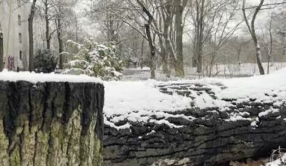 Na Alemanha, a 40 km de distância da capital Berlim, no estado de Brandenburgo, é possível ir à praia em qualquer época do ano, inclusive no inverno.  Reprodução: Flipar