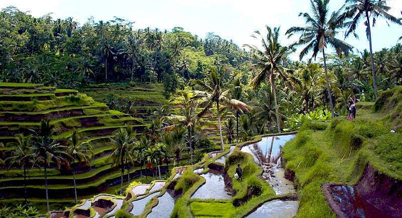 49º - Ubud, na Indonésia. Foto: Reprodução