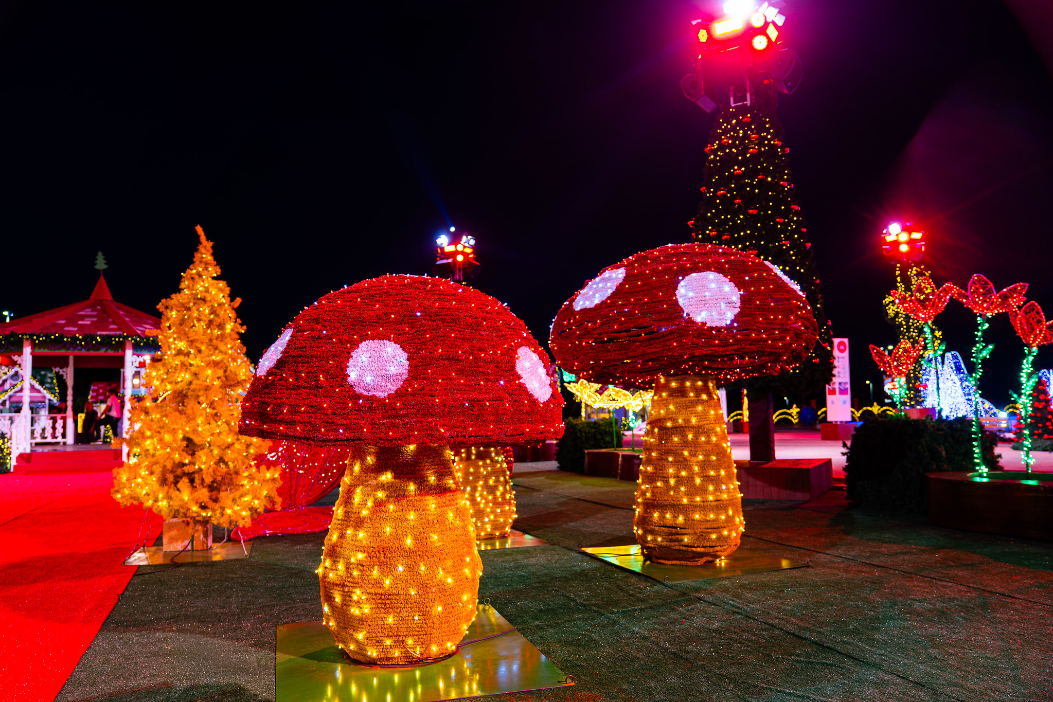 Decoração do Natal do Bem de Goiás 2025. Foto: Divulgação / Governo de Goiás