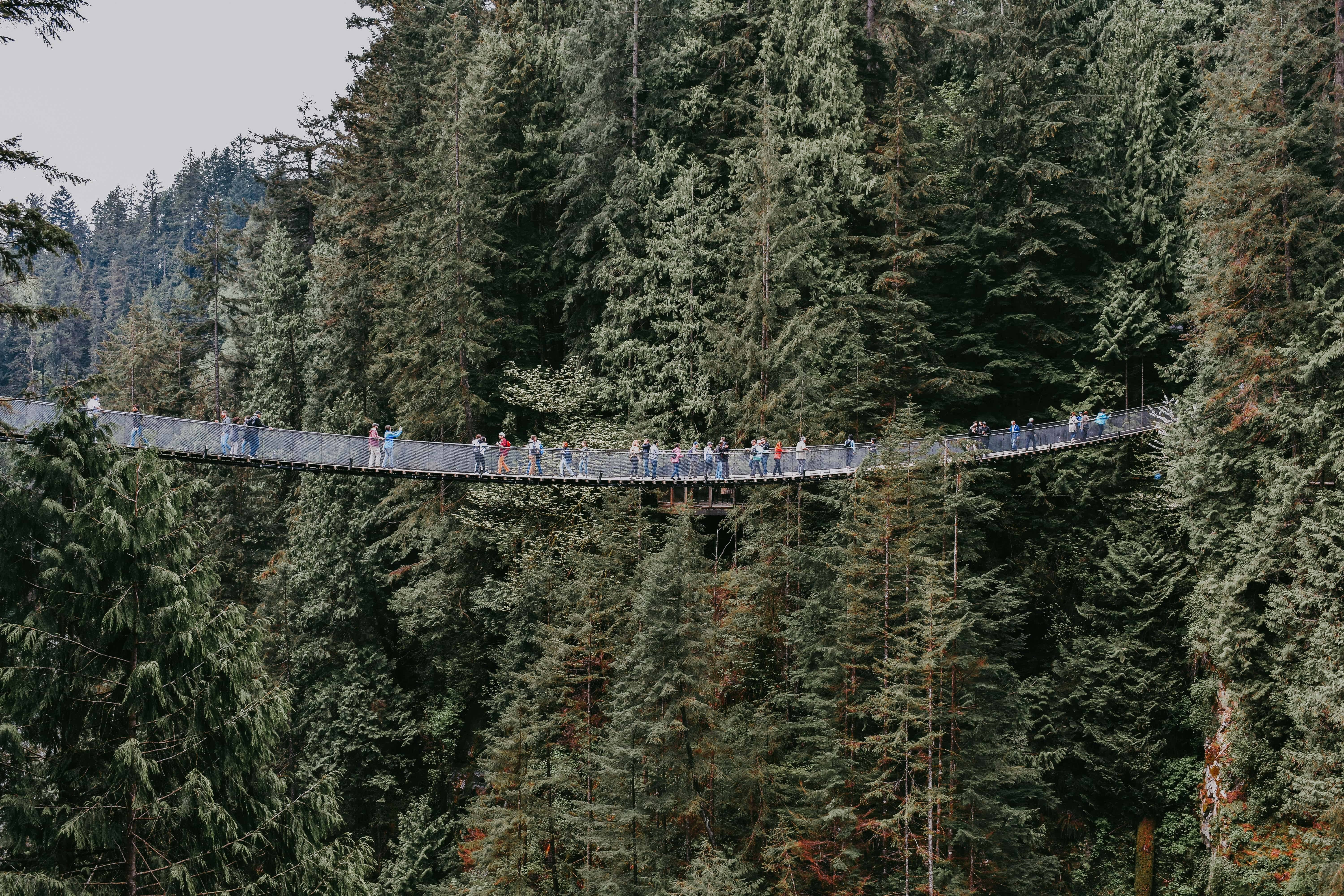 Uma das atrações mais surpreendentes de Vancouver, a Ponte Suspensa de Capilano tem 140 metros de comprimento e está a 70 metros do rio. Foto: Jacalyn Beales/Unsplash