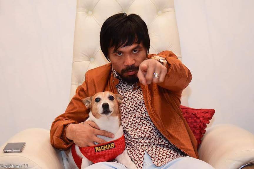 Lutador ao lado do cachorro. Foto: Instagram