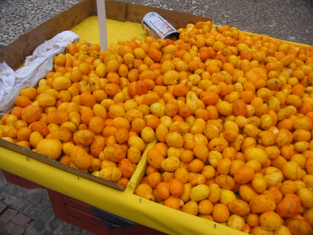 O pequi é um fruto nativo do Brasil e com o tempo se tornou uma espécie de embaixador do Cerrado. A polpa que cobre o caroço tem sabor e perfume bem marcantes. O pé da fruta não gosta de terrenos que ficam encharcados, e tem grande importância no Centro-Oeste. Reprodução: Flipar