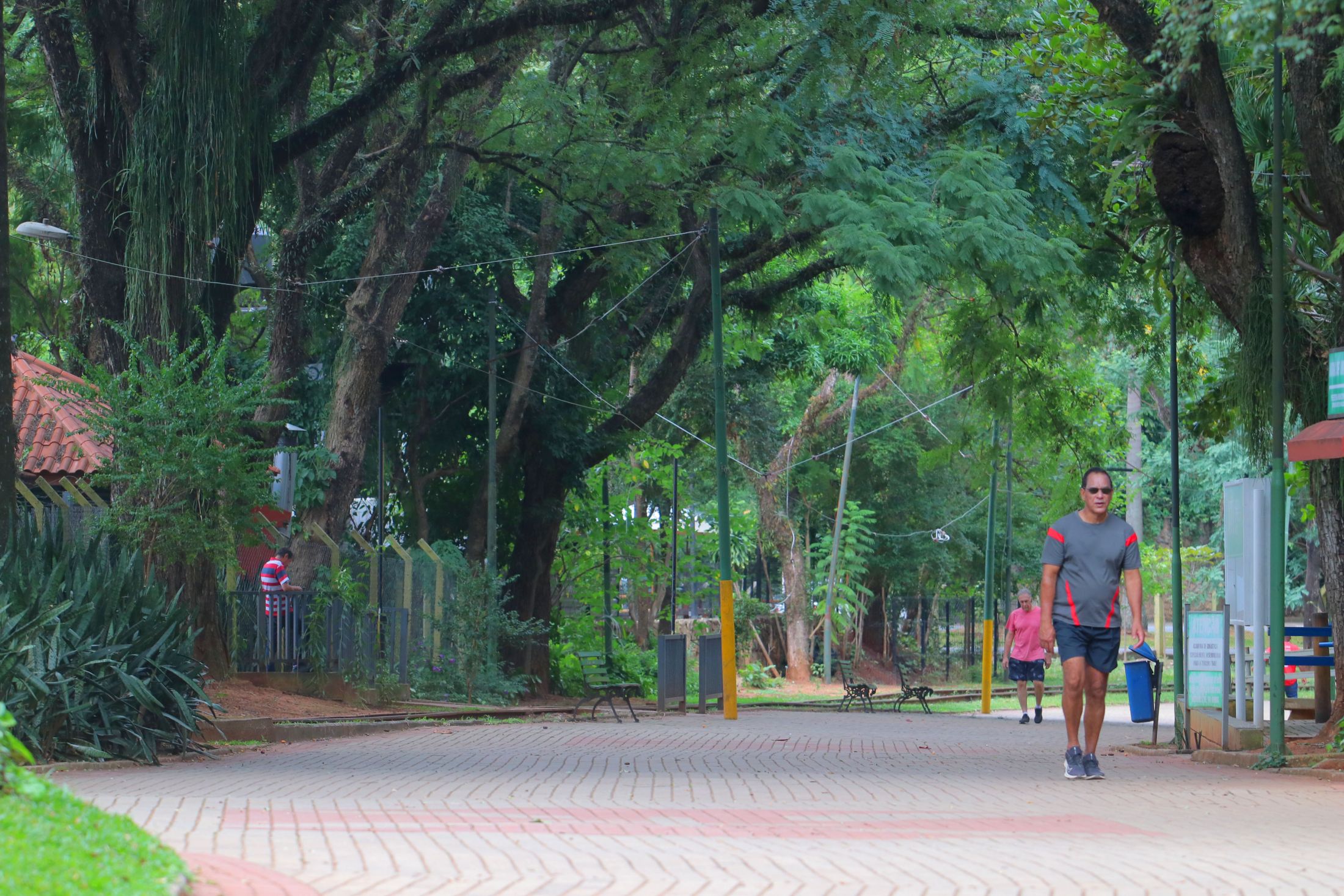 Pista para caminhada do Parque Portugal em Campinas (SP). Foto: Divulgação / Prefeitura de Campinas (SP)