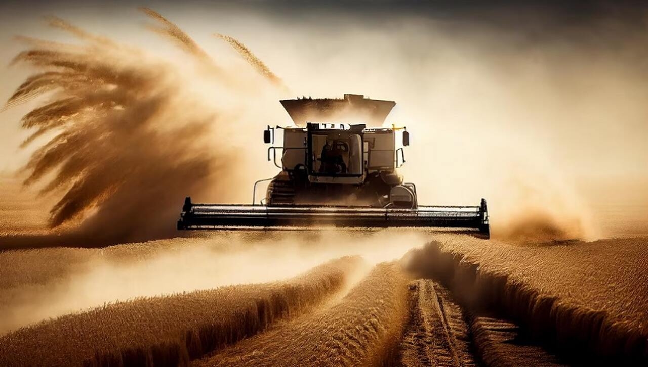 No Brasil, onde a produção de trigo está em constante crescimento, é essencial valorizar os agricultores que enfrentam desafios climáticos e econômicos. Reprodução: Flipar