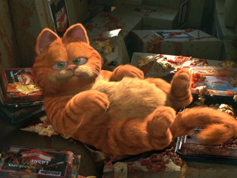 Garfield: The Movie foi lançado nos Estados Unidos em 11 de junho de 2004. Embora tenha recebido críticas negativas, o filme foi um sucesso de bilheteria, arrecadando US$ 200 milhões em um orçamento de US$ 50 milhões. Reprodução: Flipar