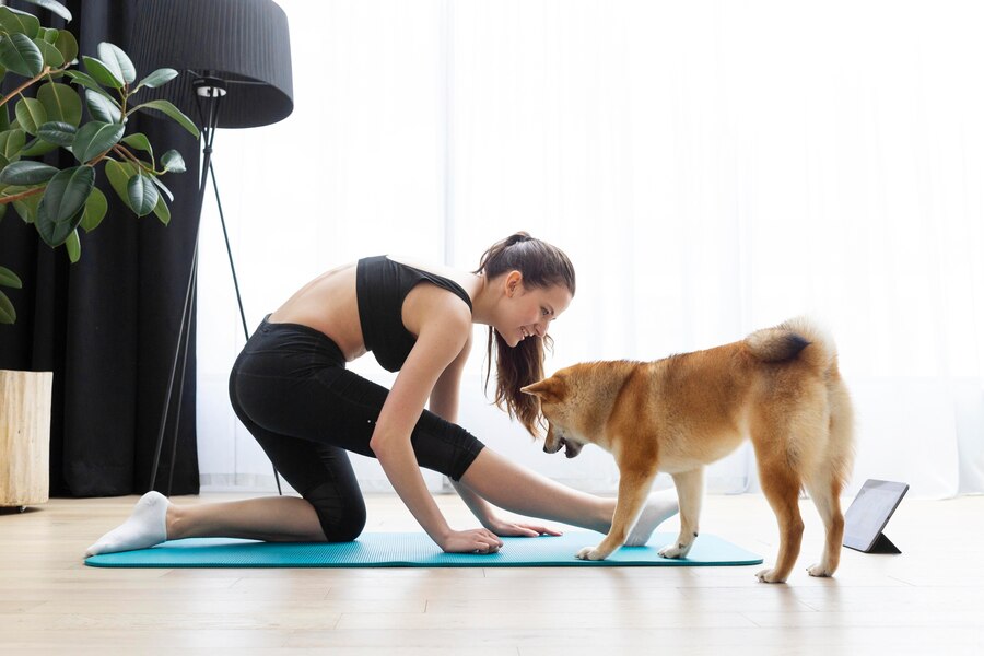 O doga é uma prática saudável e prazerosa para o cachorro e o tutor. Foto: FreePik