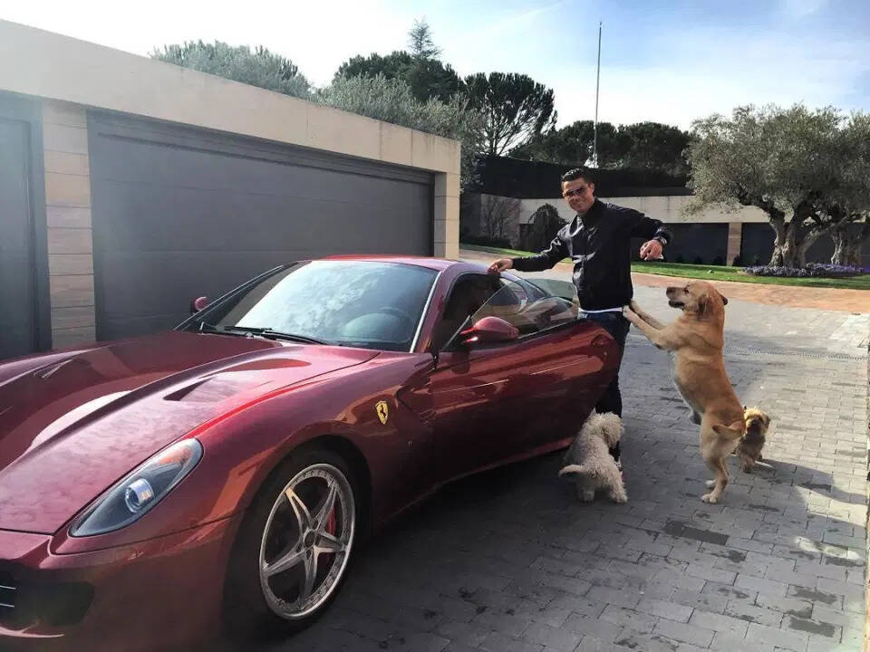 Ferrari. Foto: Reprodução