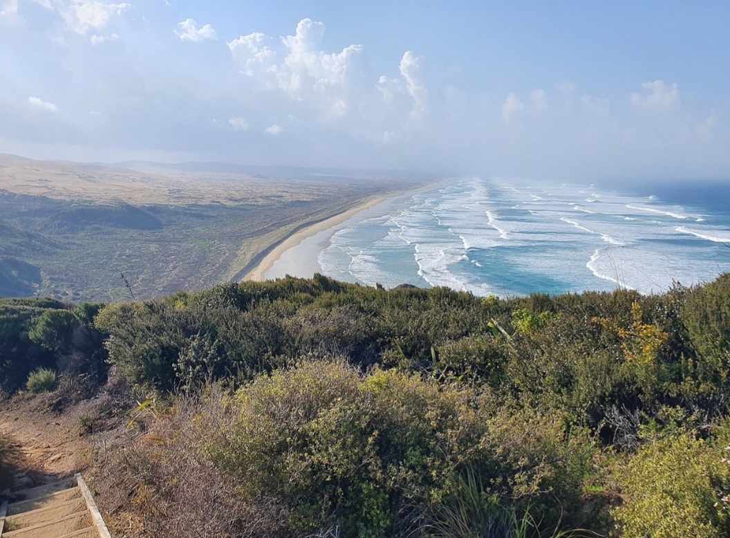 O Brasil está no topo da lista dos que possuem as maiores praias do mundo em extensão territorial. Conheça a Praia do Cassino e veja quais outras compõem esse ranking. As maiores praias do mundo, em diversos continenes.   Reprodução: Flipar