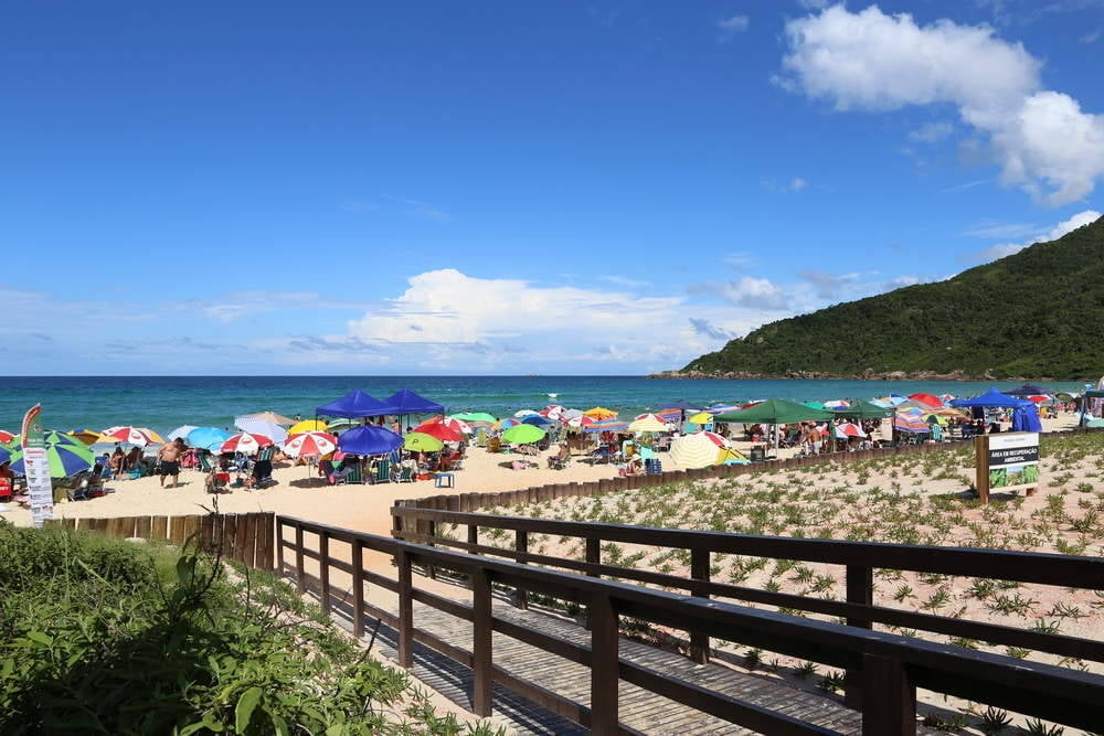 Apesar de amado por turistas, o mar da Praia Brava é considerado perigoso e é preciso que banhistas tenham cautela. Foto: Divulgação