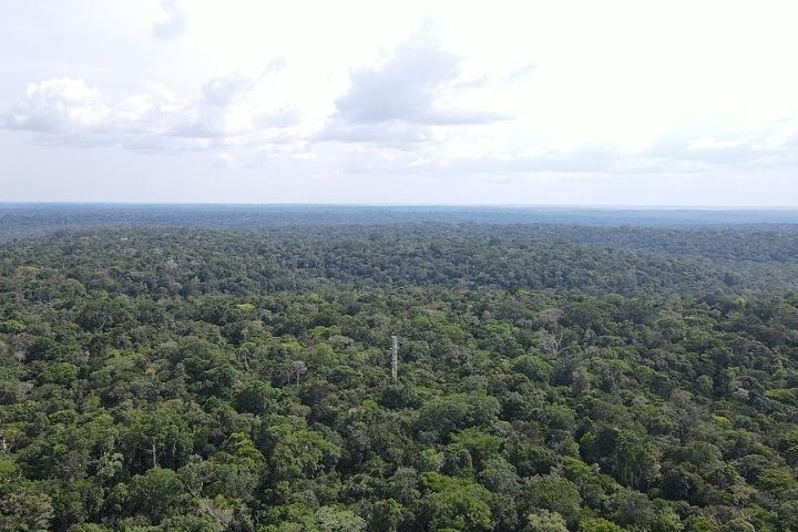 Durante a era Paleoproterozóica, erupções moldaram a paisagem e a composição mineral da região. Reprodução: Flipar