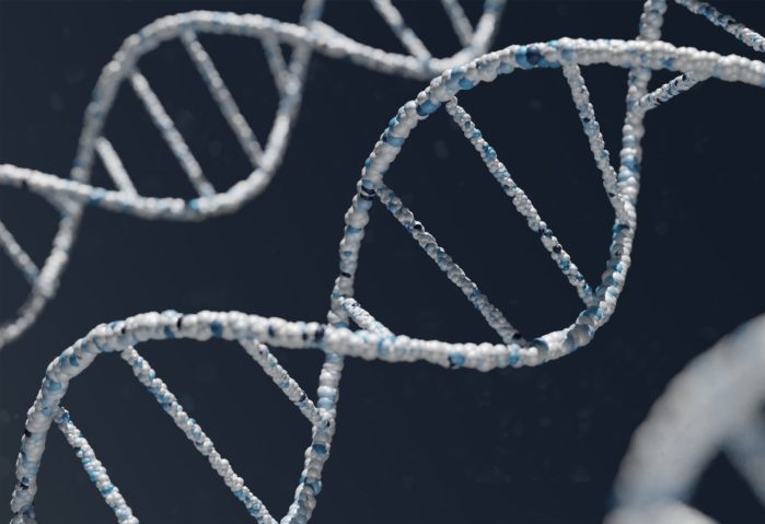 Fatores genéticos, tabagismo, hipertensão, exposição excessiva ao sol e má alimentação também podem aumentar o risco de desenvolvimento da doença. 
 Reprodução: Flipar