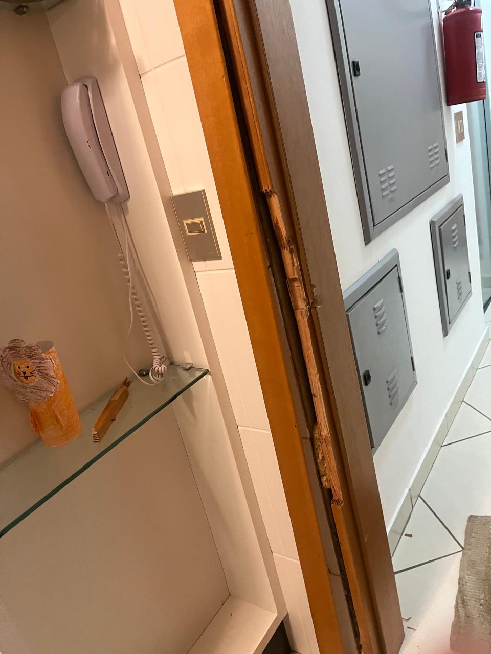 Foto: Reprodução/PCGO 