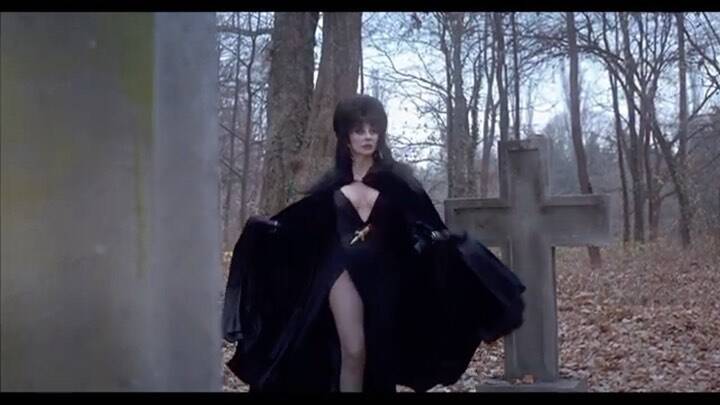 Elvira. Foto: Reprodução