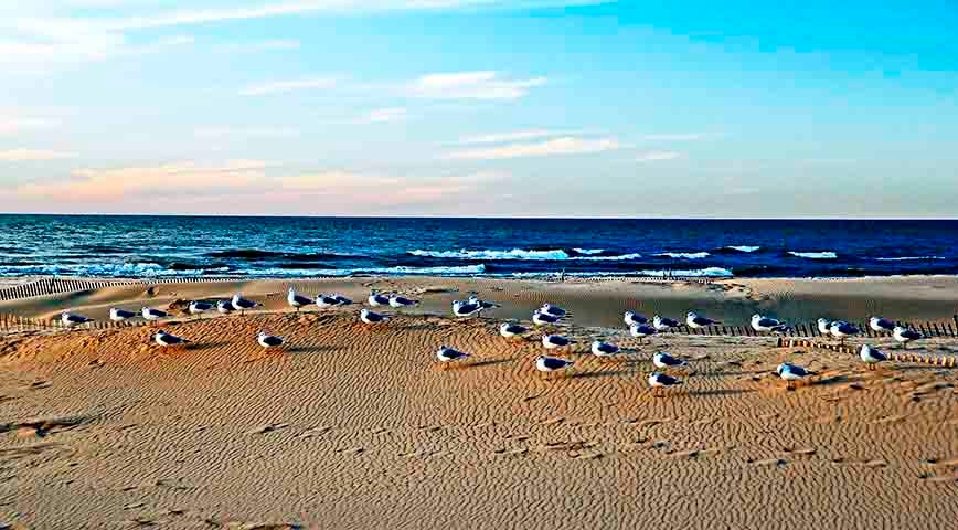 Eles abrigam uma grande variedade de vida – peixes, aves, anfíbios, insetos e plantas aquáticas. Muitos desses organismos são exclusivos de determinadas regiões, ou seja, só existem naquele lago específico. Reprodução: Flipar