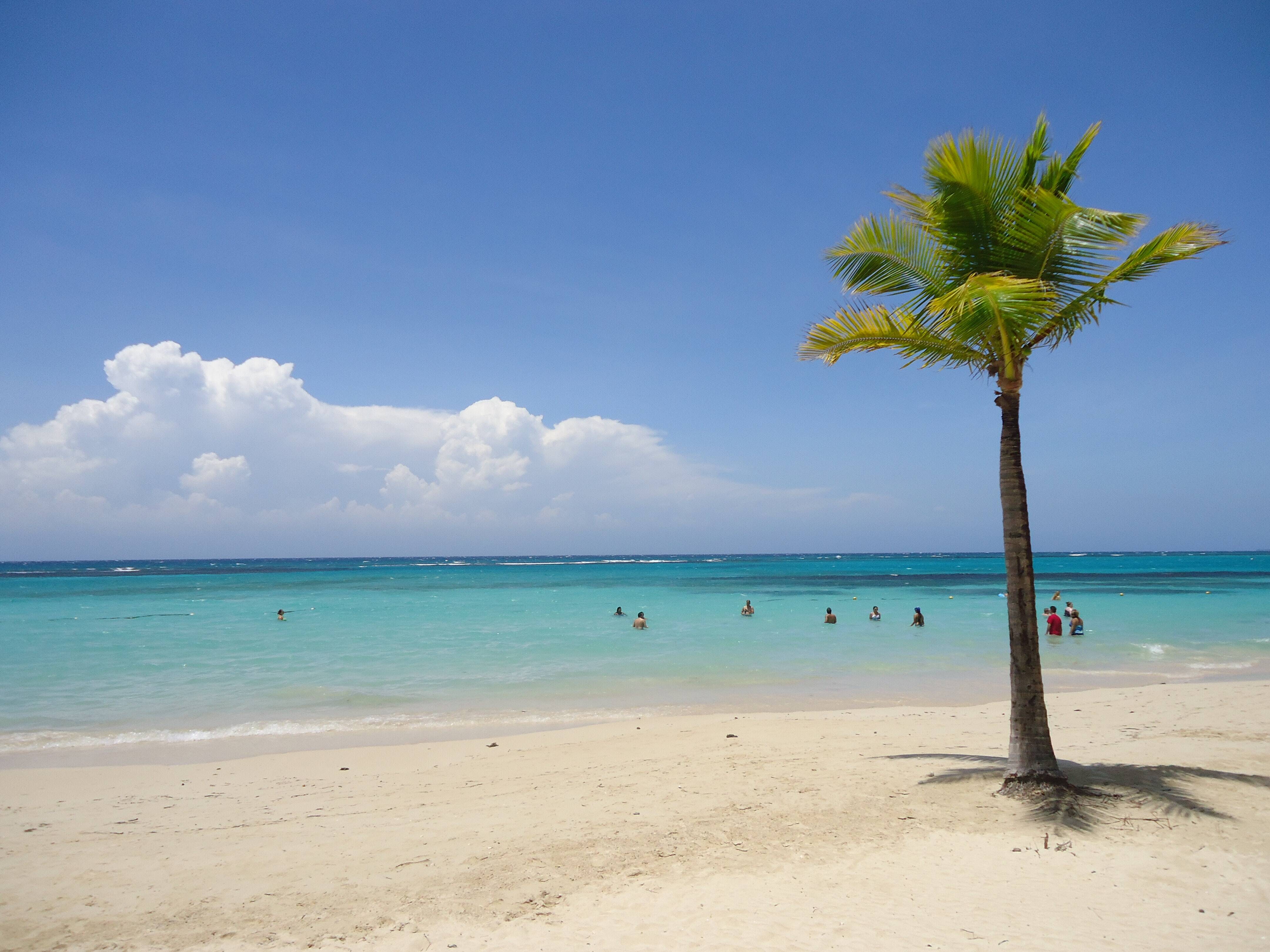 Destino dos famosos: o  reggae e as praias paradisíacas da Jamaica. Foto: a-v-b-s / unsplash