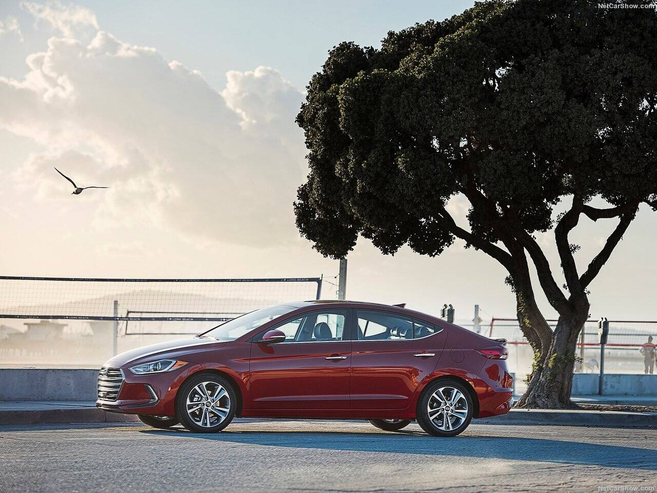 Hyundai Elantra. Foto: Divulgação