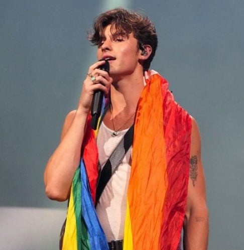 Shawn Mendes - Em 2022, o cantor canadense tomou a decisão de encerrar sua turnê “Wonder”, cancelando mais de 80 shows que ainda restavam, com o objetivo principal de cuidar de sua saúde mental.  Reprodução: Flipar