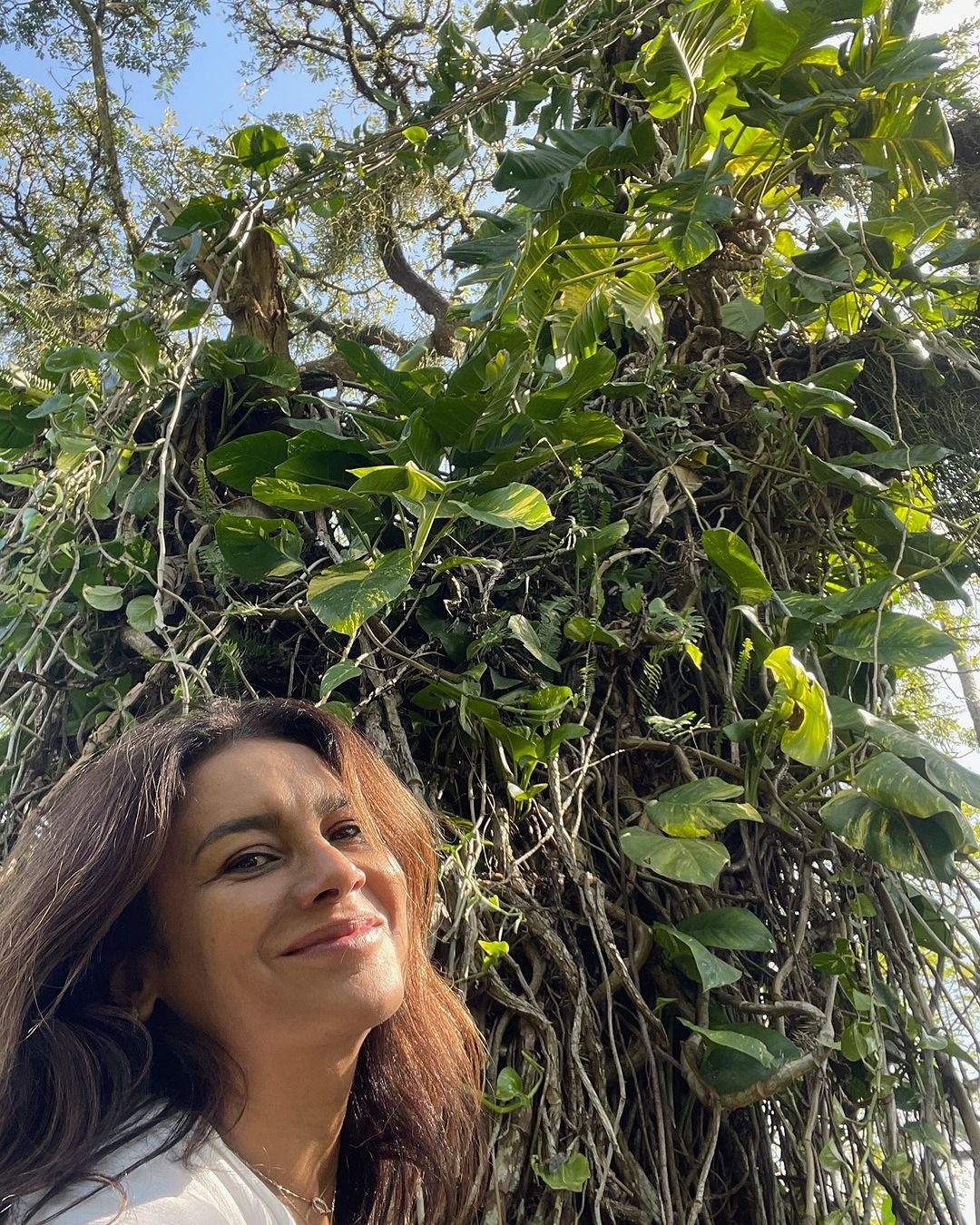 Dira Paes posa em meio à natureza para comemorar Dia do Meio Ambiente Reprodução/Instagram