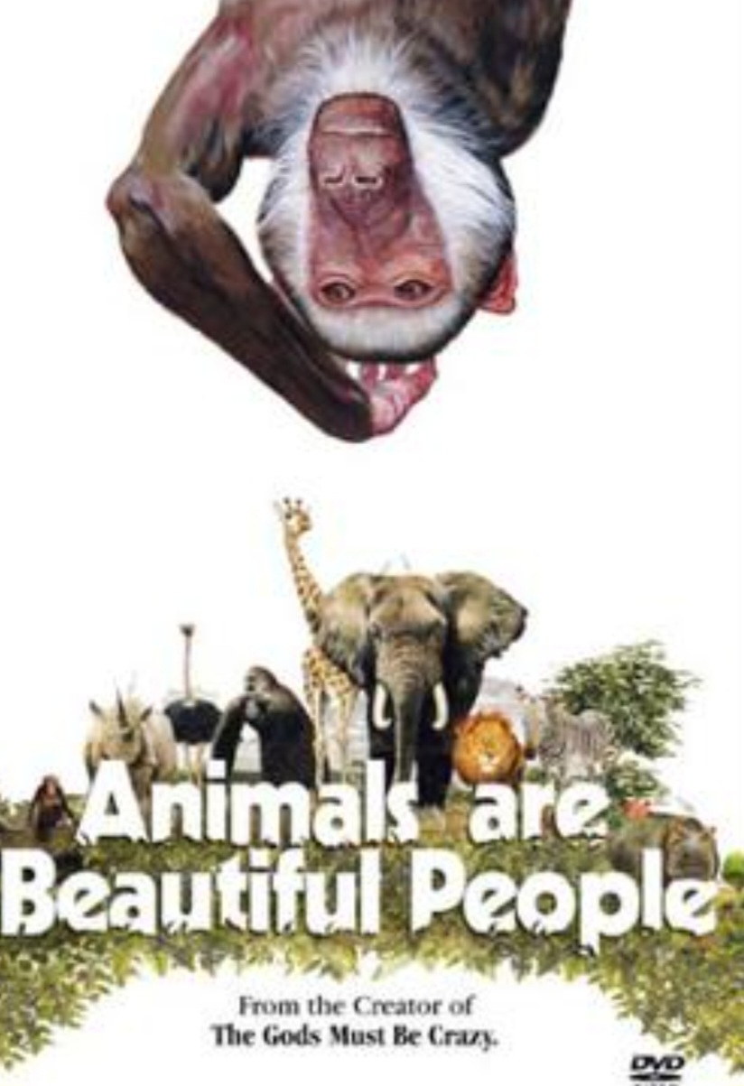 O filme sobre a natureza sul-africana ganhou o Globo de Ouro de 1974 de Melhor Documentário . Mas houve críticas à insinuação da bebedeira dos bichos Reprodução: Flipar