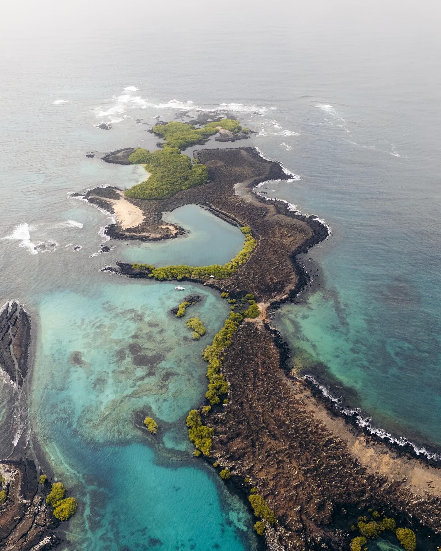 Arquipélago de Galápagos. Foto: Divulgação / Unesco