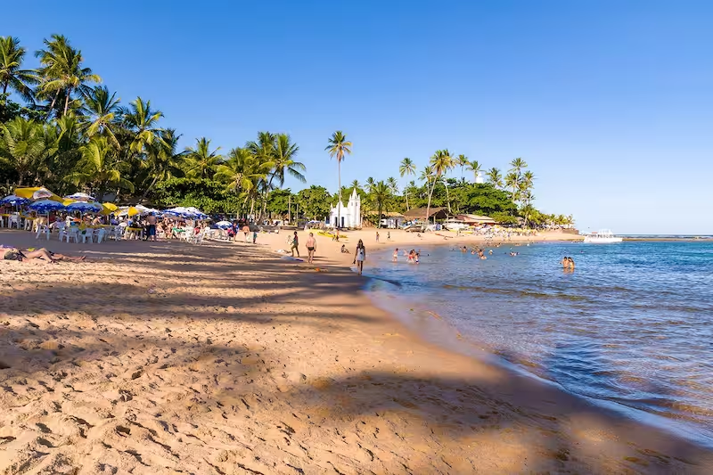 Além de suas praias paradisíacas, a Praia do Forte, na Bahia, é lar do Projeto Tamar, que visa a preservação das tartarugas marinhas. Reprodução/Wowtickets.com