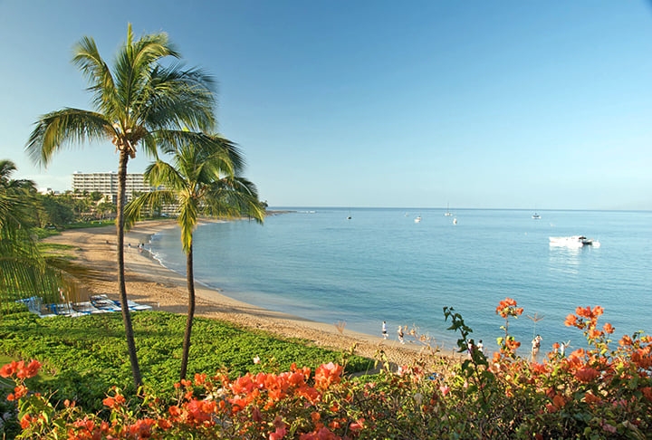 Com uma população de mais de 1,4 milhão de pessoas, o Havaí é um destino turístico popular, conhecido por suas belas praias, clima tropical e cultura única. Reprodução: Flipar