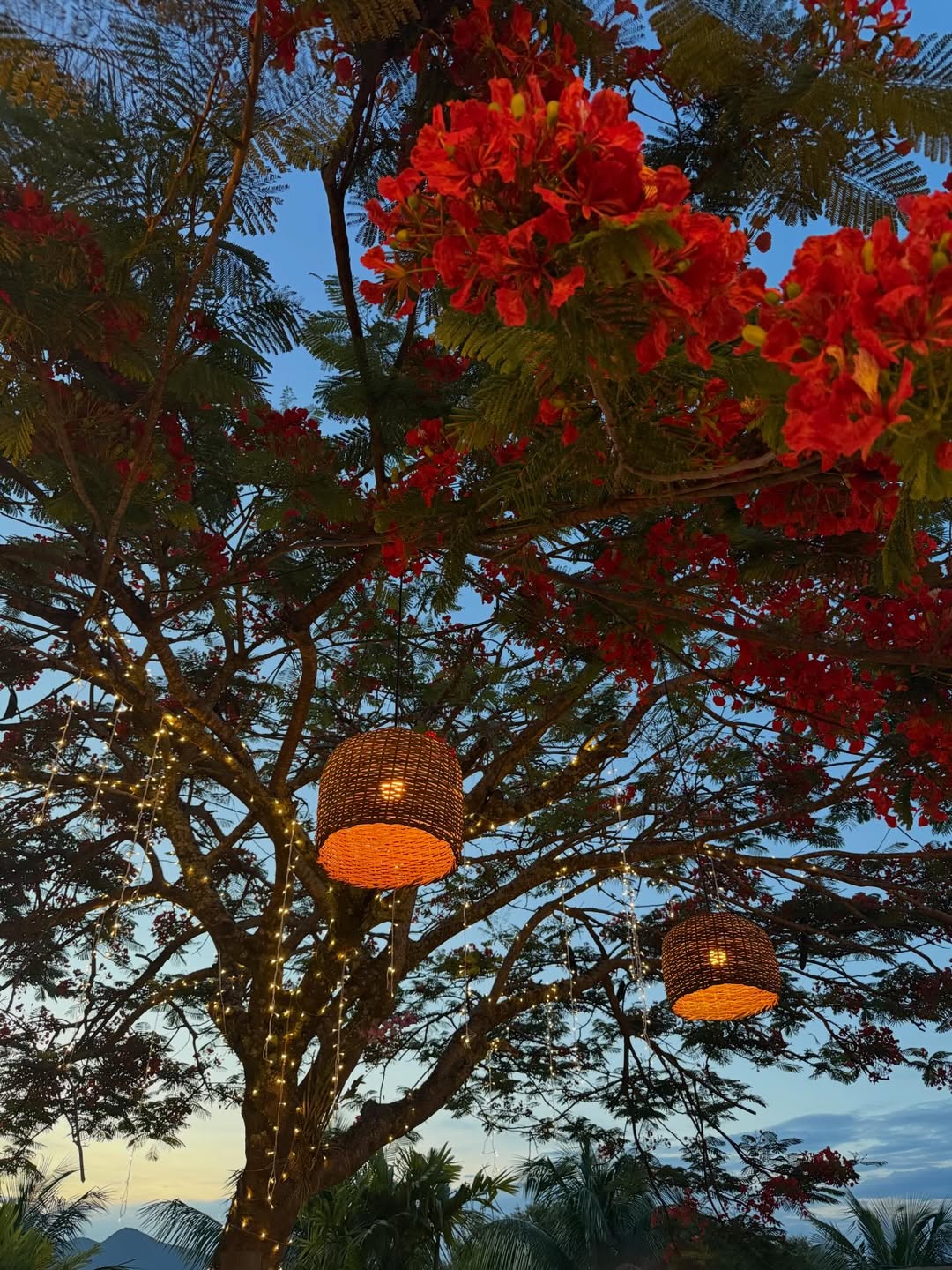 Ana Paula Padrão mostra paisagem. Foto: Reprodução/ Instagram @anapaulapadraooficial