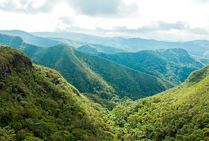 Junho marca a celebração pela consciência na defesa da Natureza. Afinal, 5 de junho é Dia Mundial do Meio Ambiente. 