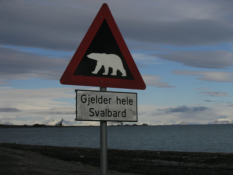 Svalbard. Foto: Fogian/Flickr - 23/01/2011