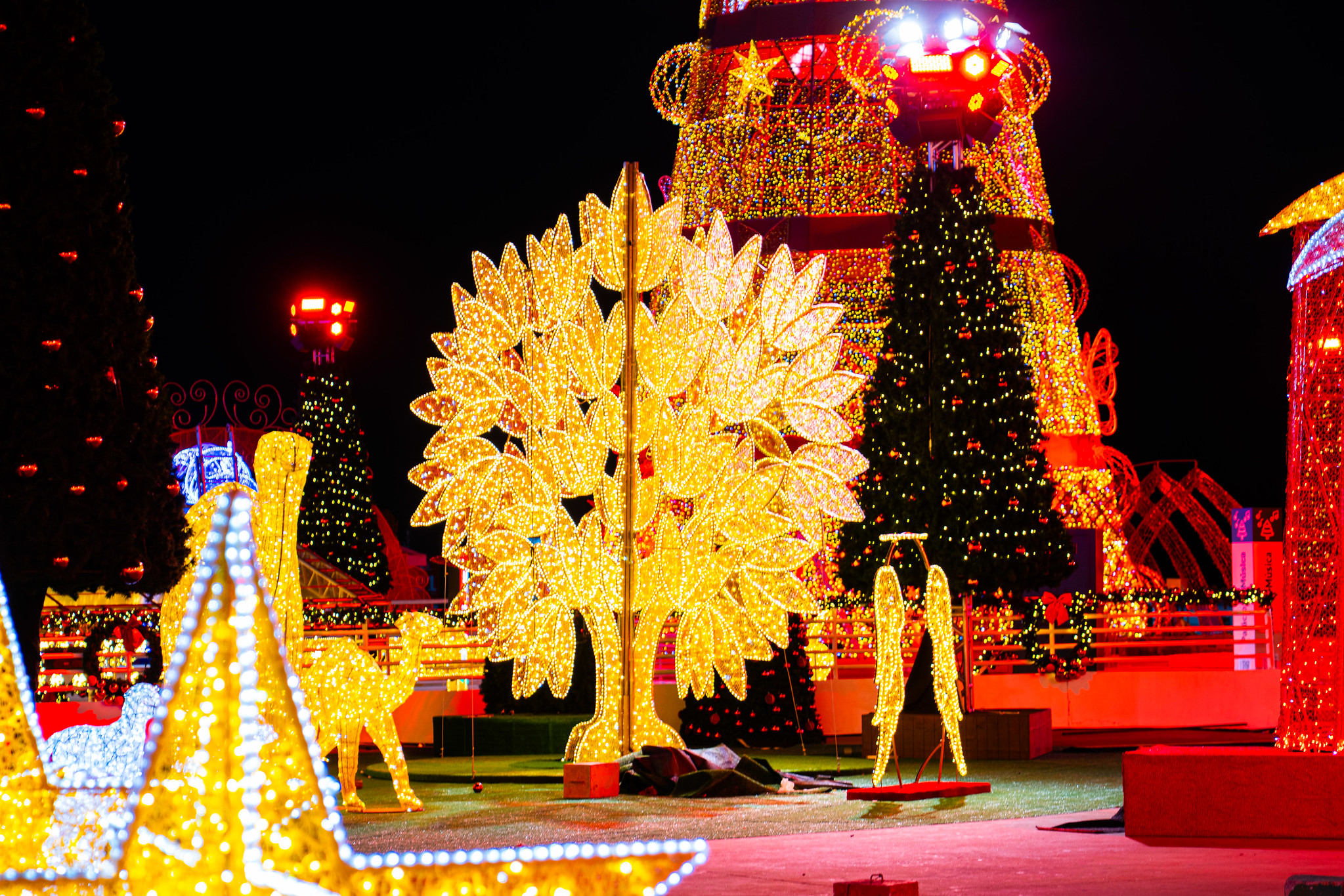 Decoração do Natal do Bem de Goiás 2025. Foto: Divulgação / Governo de Goiás
