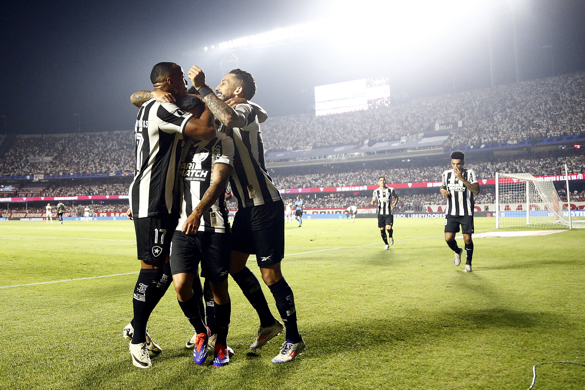 São Paulo x Botafogo Foto: Vítor Silva/Botafogo