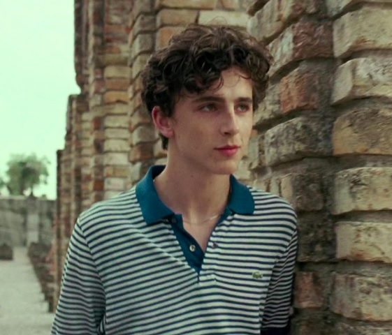 Me Chame Pelo Seu Nome - Produção franco-ítalo-americano-brasileira foi indicada a quatro categorias e venceu o Oscar de 2018 de Melhor Roteiro Adaptado para James Ivory. O filme tem no elenco o festejado ator Timothée Chalamet. 

 Reprodução: Flipar