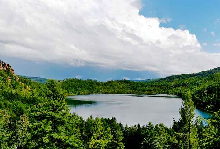 Mongólia - As coníferas dominam as montanhas e estepes do norte, protegendo o solo da erosão. As estepes 
são biomas formados por vastas planícies cobertas por gramíneas, com poucos arbustos. 
 Reprodução: Flipar