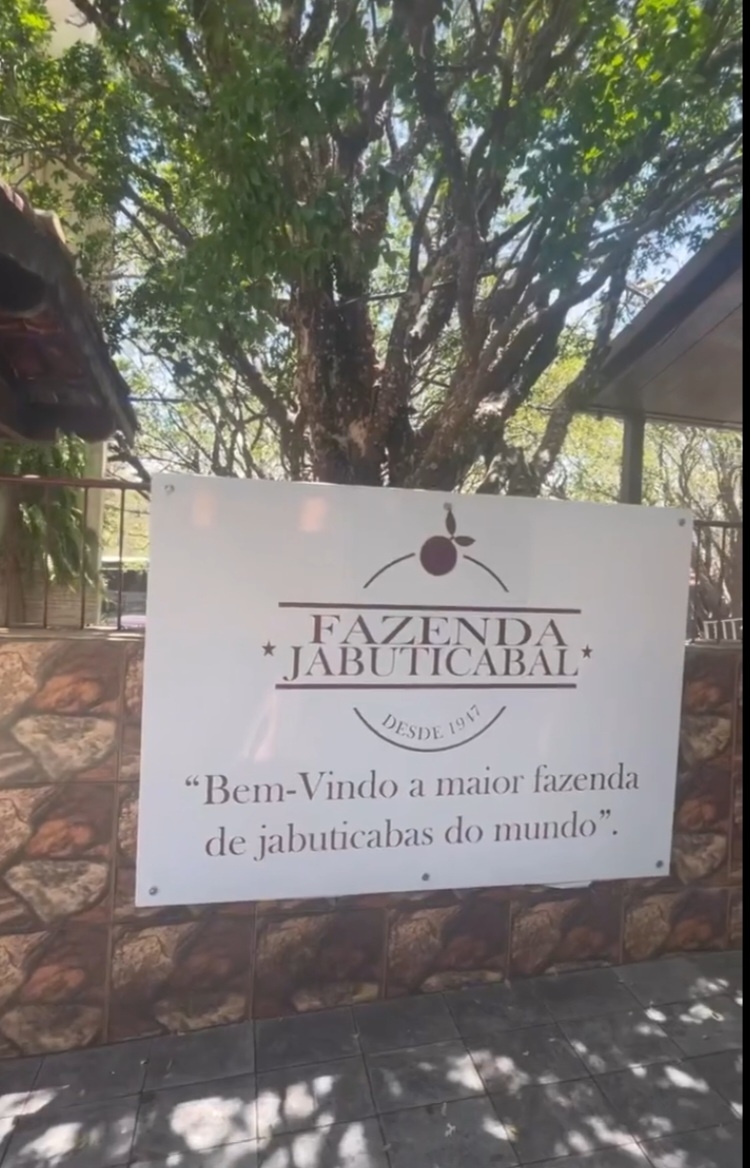 O município de Hidrolândia, região metropolitana de Goiânia, abriga o maior pomar de jabuticaba do mundo. Fica na Fazenda Jabuticabal, no distrito de Nova Fátima. O local já faz parte do imaginário do estado e é aberta para visitação na temporada de jabuticabas, entre o início de setembro e meados de outubro. Reprodução: Flipar