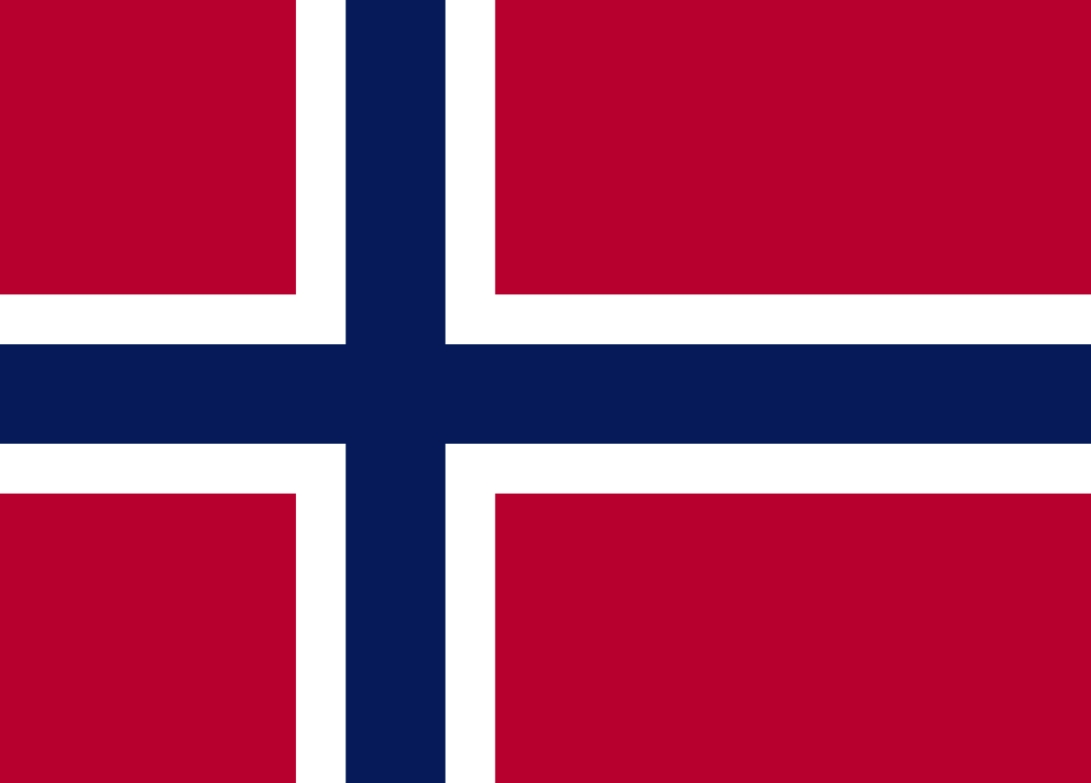 As raízes da Noruega remontam ao século IX. Após a independência da Suécia em 1905, o país tornou-se uma monarquia constitucional e mantém esse sistema de governo até hoje. A Constituição do país, feita em 1814, é a segunda constituição escrita mais antiga do mundo que ainda está em uso.