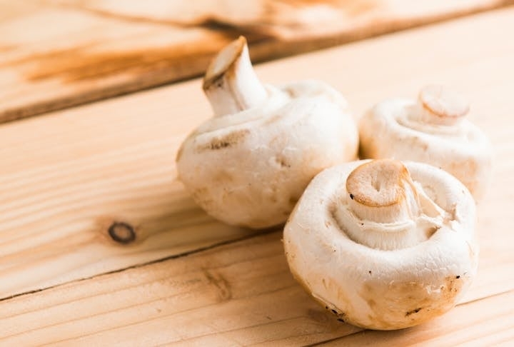 Cogumelos, apreciados por sua textura única e sabor terroso, são fungos – às vezes comestíveis – que oferecem uma variedade de benefícios para a saúde. Reprodução: Flipar