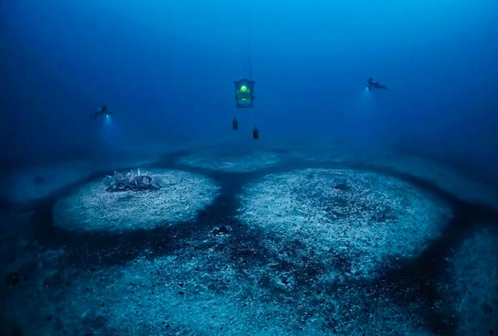 Essas estruturas, com cerca de 20 metros de diâmetro, são compostas por algas calcárias milenares (rodolitos) e datam de aproximadamente 21.000 anos, remontando à última era glacial. Reprodução: Flipar