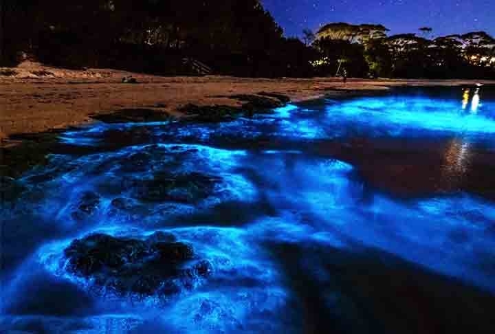 Praia de Jervis Bay - Localizada na Austrália, é uma localidade paradisíaca que também verifica o fenômeno natural da bioluminescência.  Reprodução: Flipar