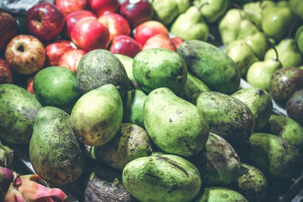 A manga é uma fruta muito apreciada no Brasil, sendo consumida em diversas formas, como fresca, sucos, doces, compotas e sorvetes.  Reprodução: Flipar