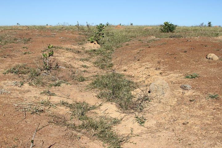 Pesquisas no local identificaram sinais claros de metamorfismo de choque — um fenômeno que transforma minerais sob extrema pressão e temperatura, exclusivo de impactos meteoríticos. Reprodução: Flipar