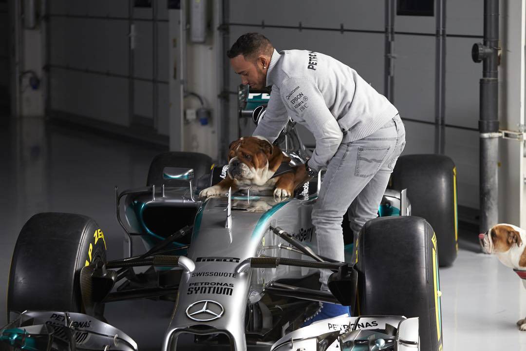 Hamilton e a cachorra na Formula 1. Foto: Instagram / Justin Bieber