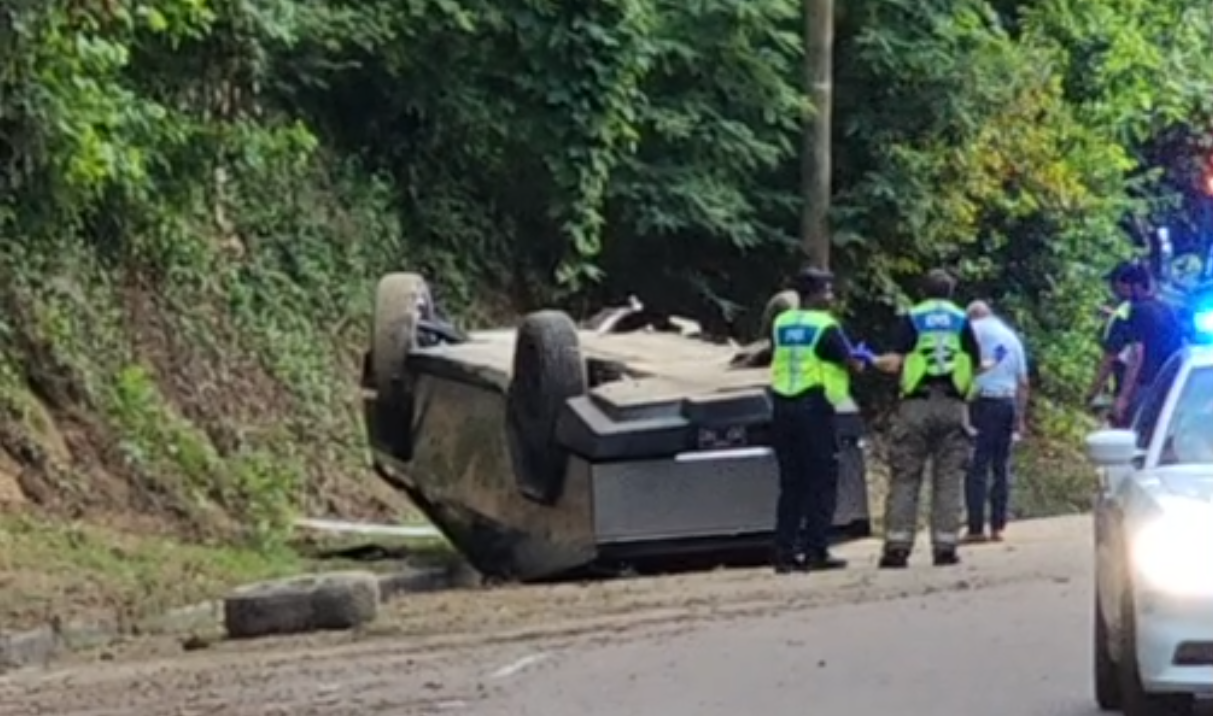 Tesla Cybertruck derrubou Reprodução/Vicksburg Daily News via Facebook